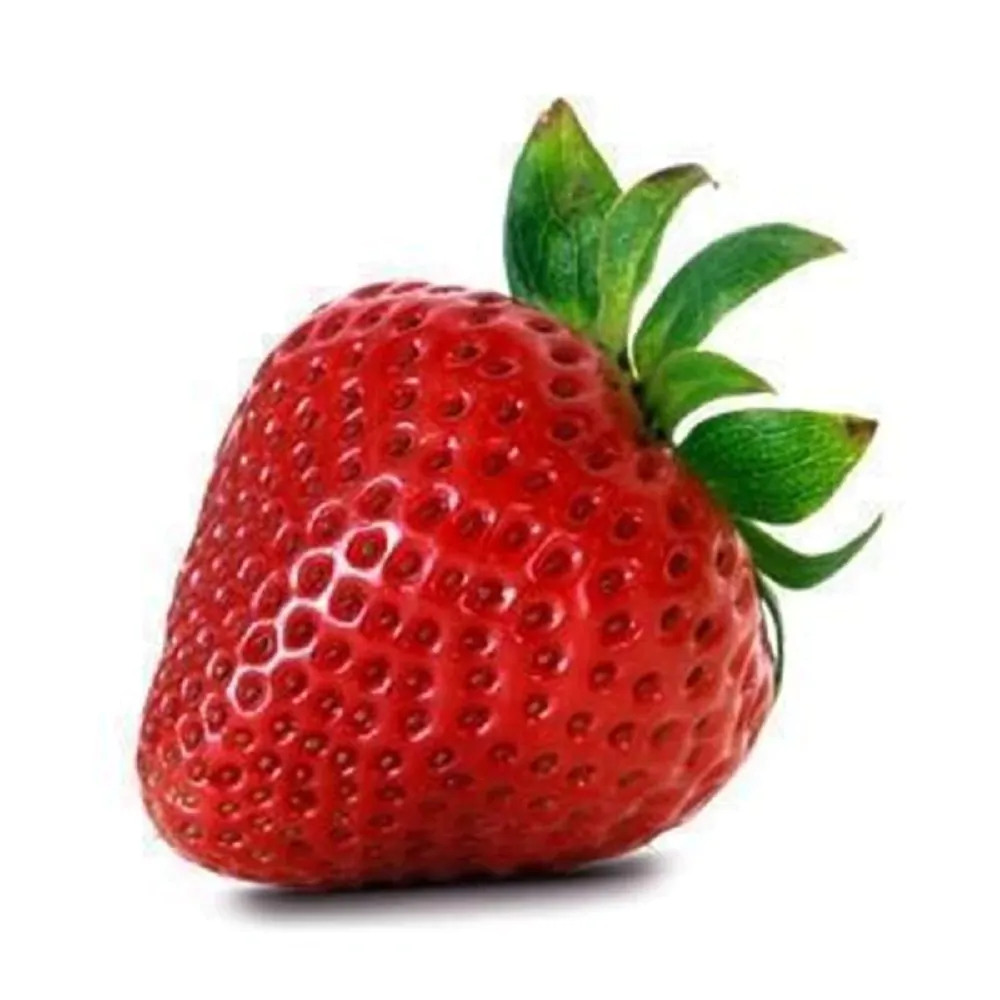 Bær