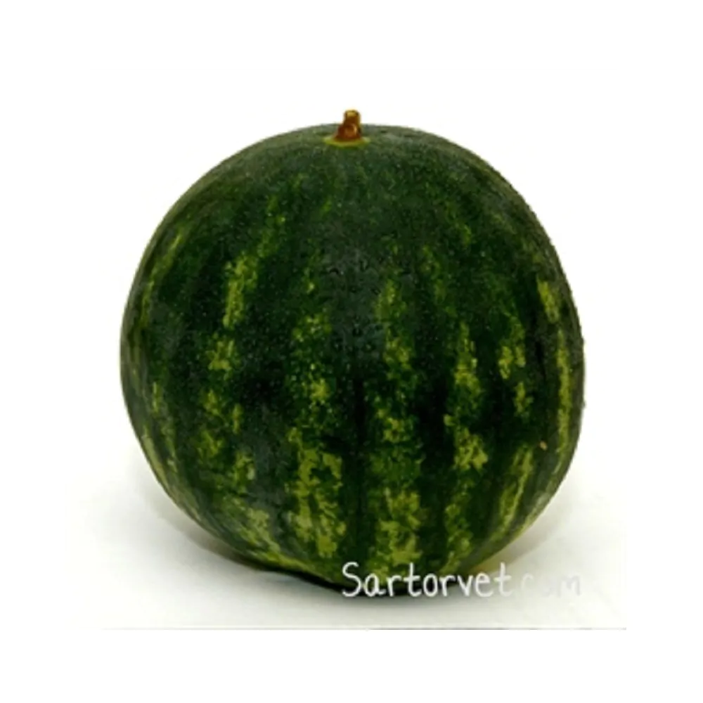 Meloner
