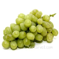 Vindruer Grønne - Stenfri 1 KG