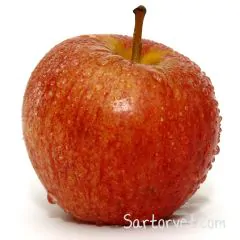 Æbler Økologisk 84 stk
