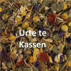 Urte te kassen