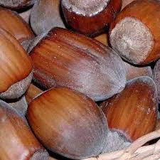 Hasselnødder Danske m/skal