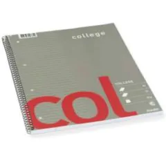Kollegieblokke A4 Linjeret