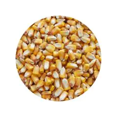 Popcornmajs 900 g