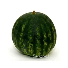 Melon Vand - Kernefri